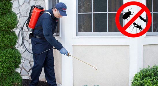 Aliağa Kene İlaçlama böcek ilaçlama ve haşere kontrolü — ilaclama-tr.com